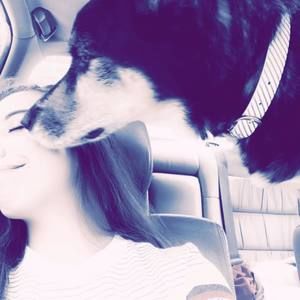 Meet your Posher, Brandy